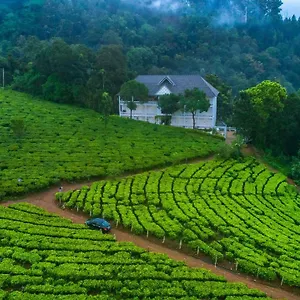 Tea Harvester Resort